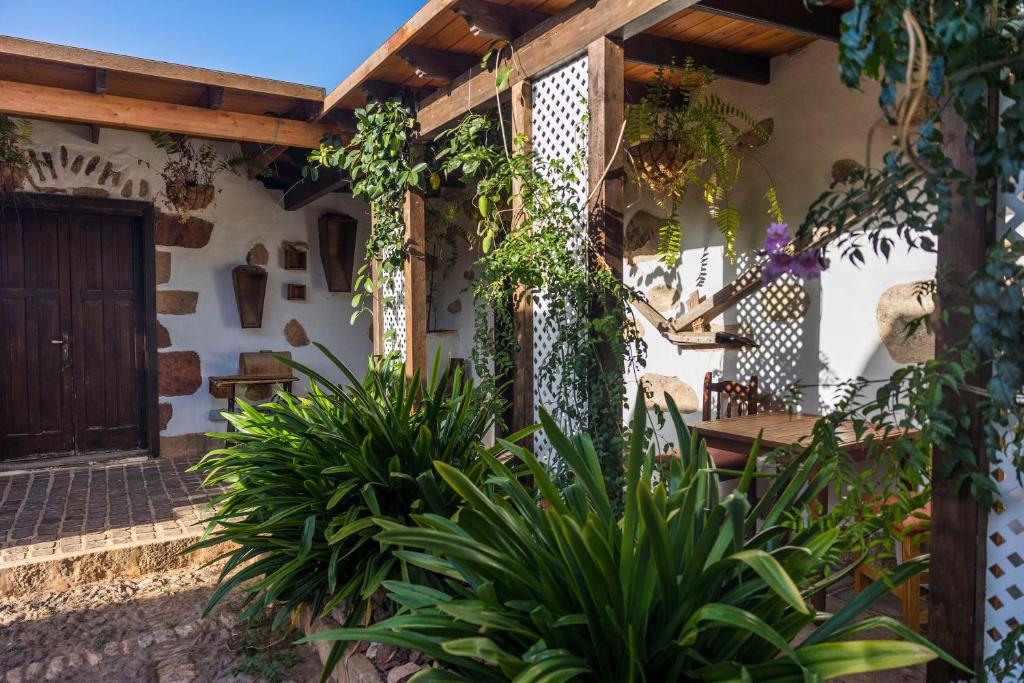 Hotel Boutique Rosario Martin - patio met planten