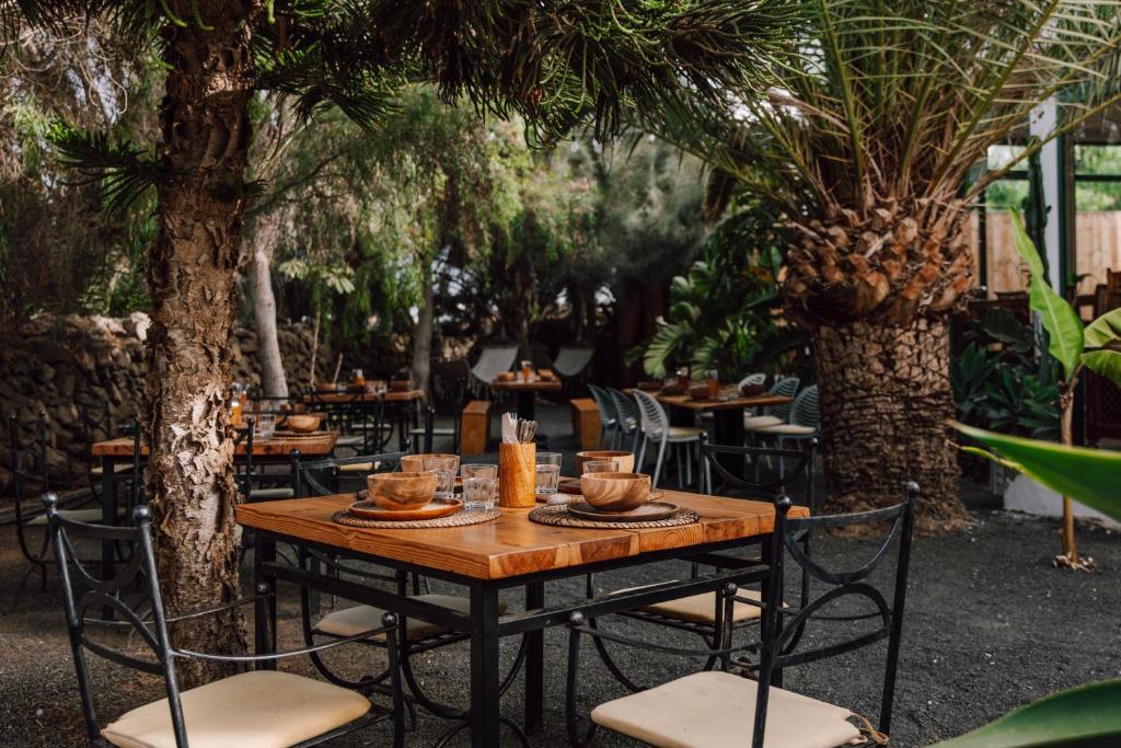 El Patio de Lajares - restaurantterras onder de bomen