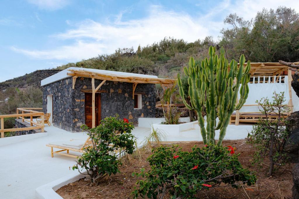 Boutique Eco Hotel Costa Magica - gebouw met cactustuin