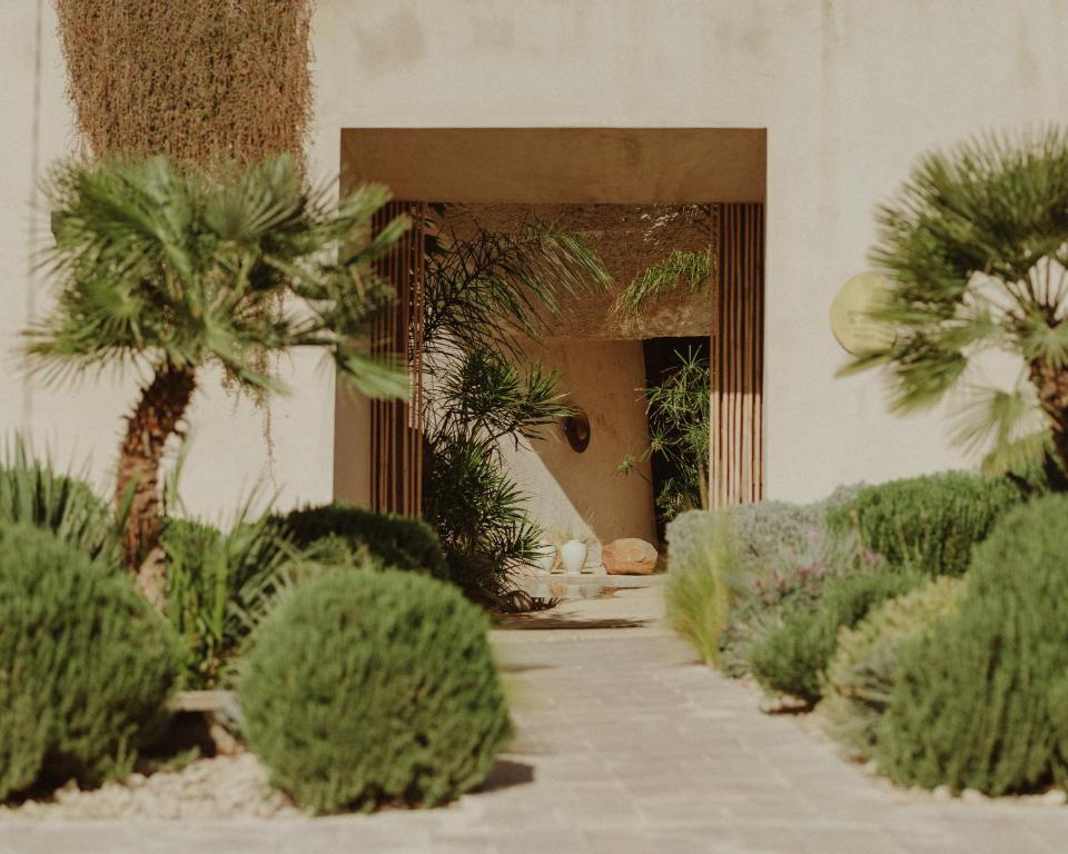 Ecohotel El Agua - entree met palmen