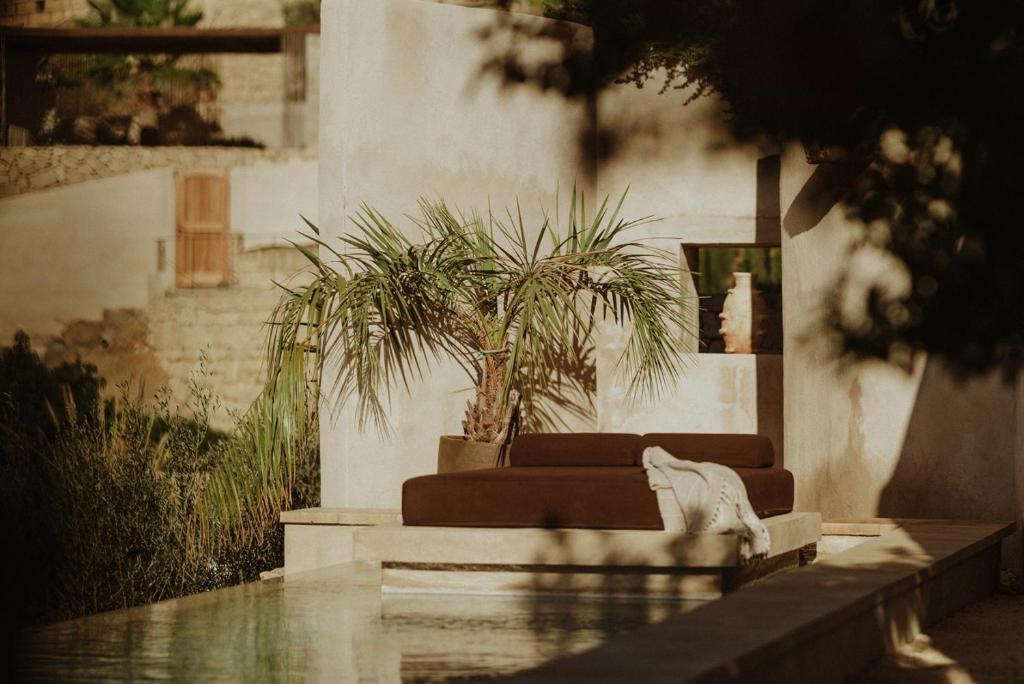 Ecohotel El Agua - patio met palm