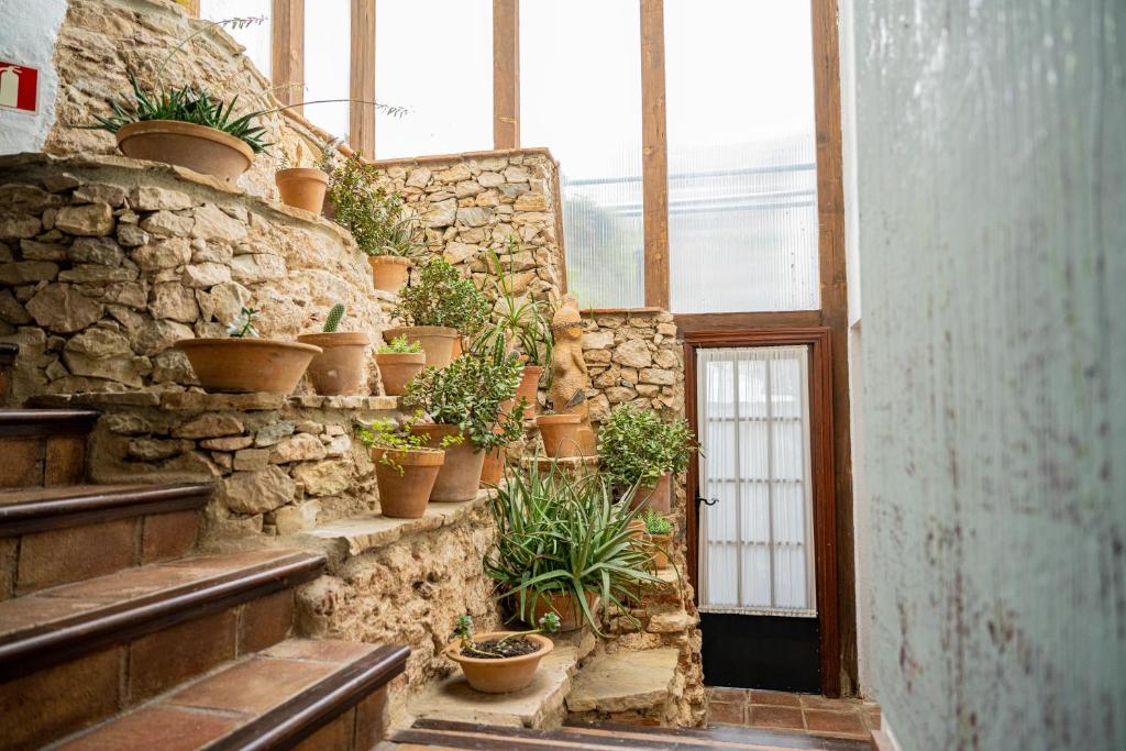 Molino del Santo - stenen trap met potplanten