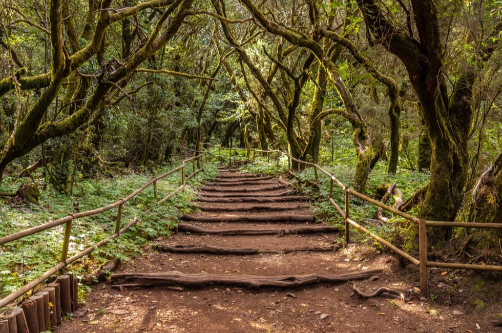 La gomera wandelen