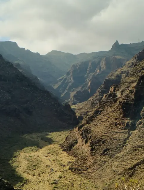 Rondreis Tenrife en la Gomera view