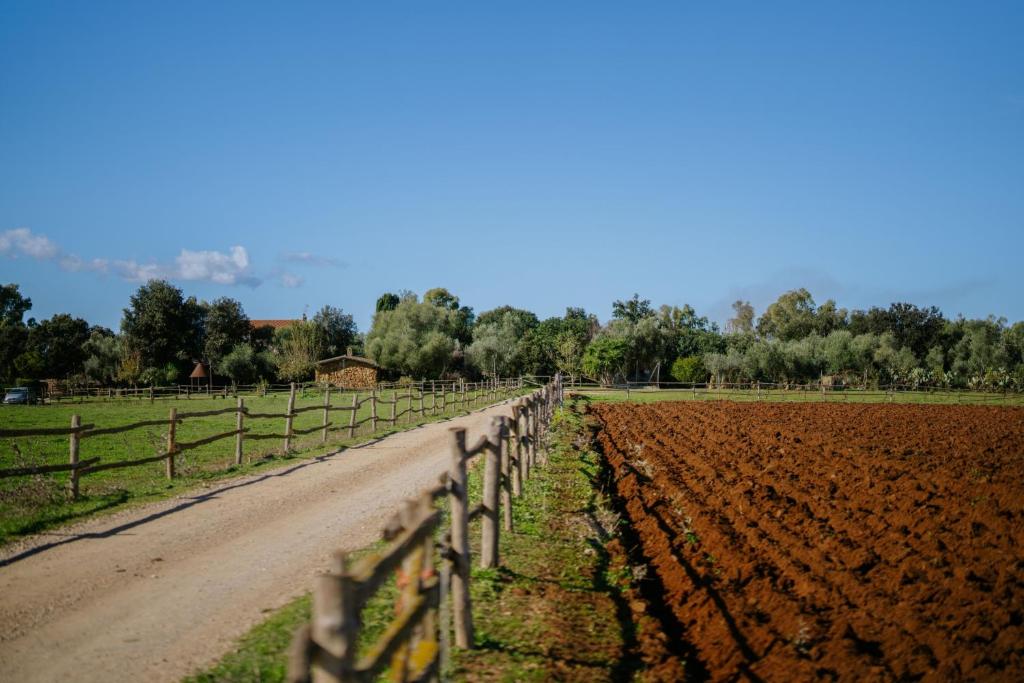 Azienda Agrituristica Sa Mandra - akker en weiland bij de boerderij