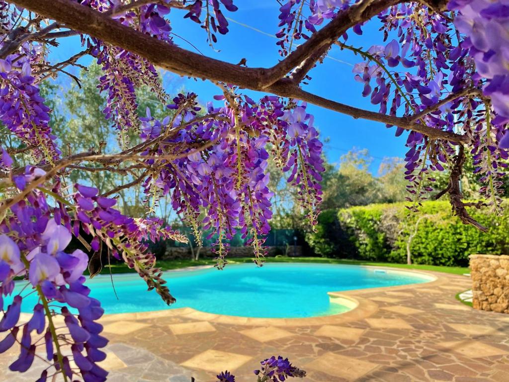 Azienda Agrituristica Sa Mandra - zwembad onder de blauweregen