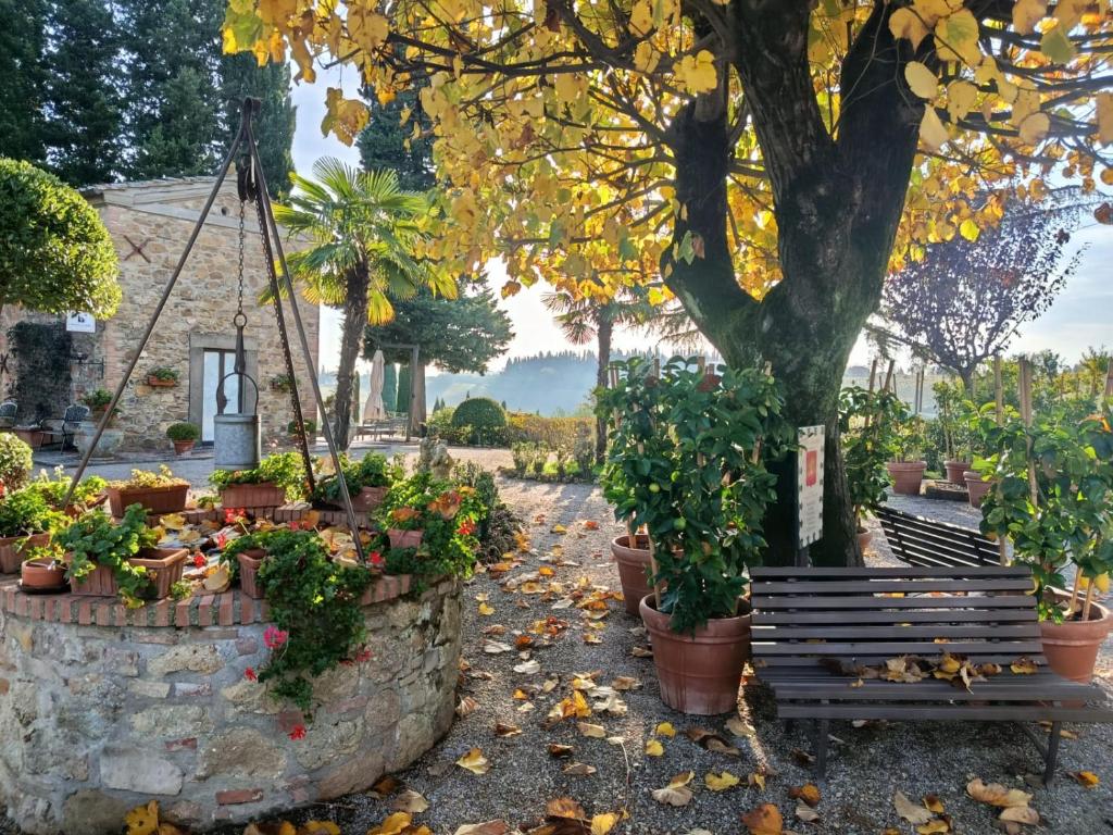 Il Casale del Cotone - tuinpad in de herfst