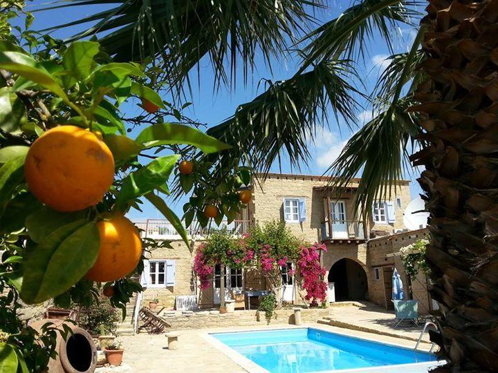 Zwembad en terras van Appartementen Cyprus Village