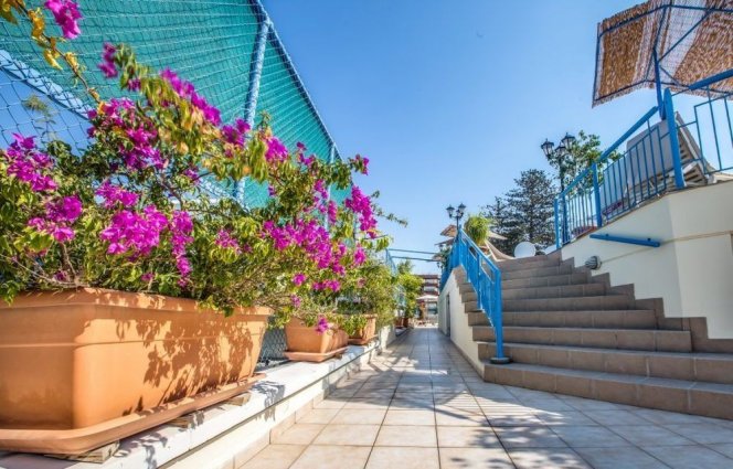 Tuin op het dak van Appartementen Atrium Zenon Larnaca Cyprus