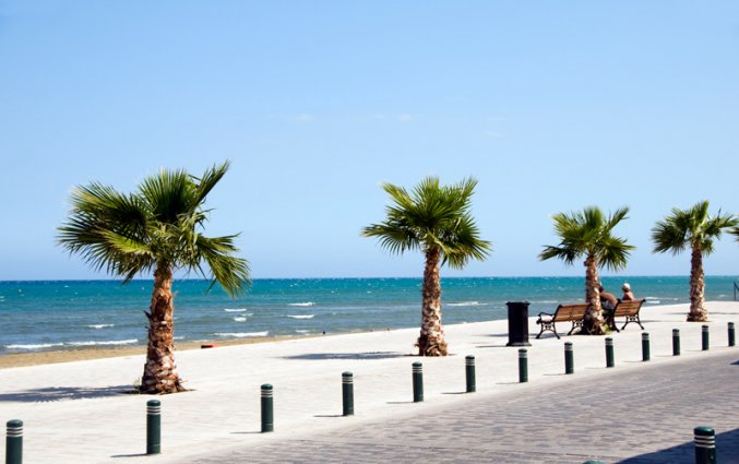 Larnaca - Palmenpromenade