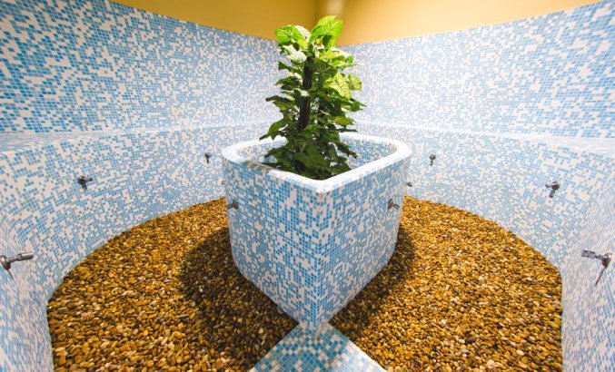 Hotel Spa La Quinta Park Suites